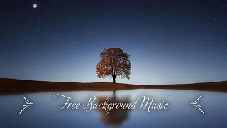 1 Hour plus Upbeat Background Music (Best MBB Music Collection) Free Download, No_Copyright