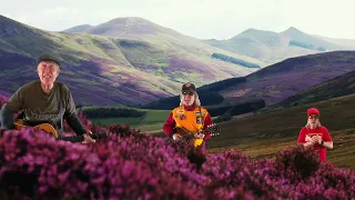 Wild Mountain Thyme