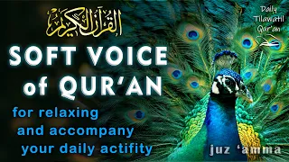 Soothing the hearth and mind, peaceful recitation of Qur'an juz 30