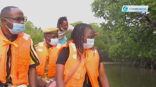 My Magical Kenya Ep17; A Rare Boat Ride Through the Mangrove Forest in Mida Creek, Watamu