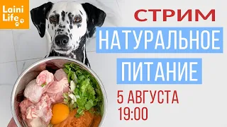 Стрим о натуральном питании собак