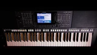 Gaz, Gaz, Gaz ♬ / Bara Bara ♬ cover Yamaha PSR-S750