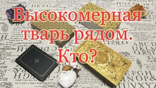 Высокомерная тваpюка рядом. Кто смотрит сверху вниз на Вас? Общий расклад.