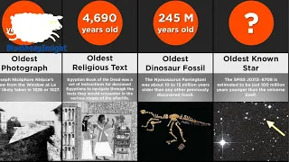 Comparison   Oldest Things Ever Discovered#BluesheepInsight#probability comparison