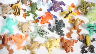 FROGS＆Co. NEW EDITION "unboxing" squishy DeAgostini Japanese candy toys