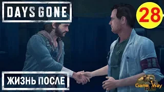 DAYS GONE. ЖИЗНЬ ПОСЛЕ. 🎮 PS4 #28 НА ПОБЕГУШКАХ У САРЫ. Прохождение на русском.