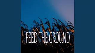 Feed the Ground