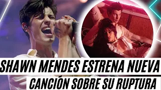 Shawn Mendes ODIA Sentirse Solo tras Ruptura con Camila Cabello