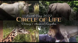 "Circle of Life" - Animal Kingdom (Earth Day 2022)