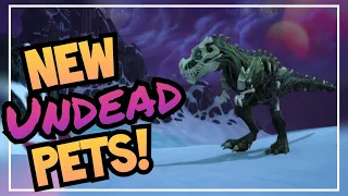 Complete UNDEAD Hunter Pet Guide | NEW Models, Locations, Abilities | World of Warcraft Shadowlands