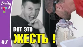 PARTY #7 Челлендж "Достань яблоко". Наказание воском! Стрельба из лука. ft Своим Ходом и Вечное лето