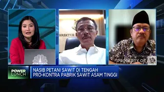 Nasib Petani Sawit di Tengah Pro-Kontra Pabrik Sawit Asam Tinggi