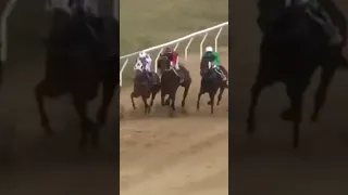 JOCKEY SAVES FELLOW RIDER FROM FALLING MID-RACE 🤯 | Footage courtesy of Roma Turf Club