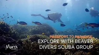 Passport To Paradise: Explore With Beaver Divers Scuba Group
