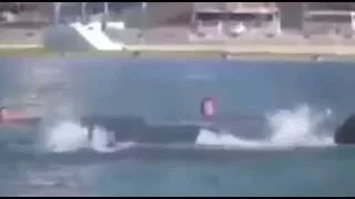 Shark attack prank