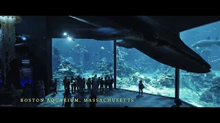 Aqumaman: Arthur Talking To The Fish 4k | Crazy MovieClip