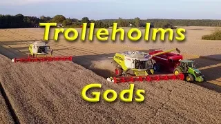 Trolleholms Gods Wheat harvest Sweden