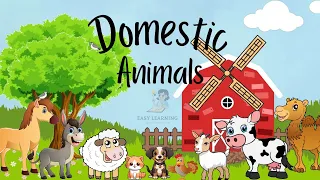 Domestic Animals | domestic animals name in english