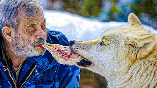 79 YEARS OLD MAN LIVES AMONG WOLVES, BECOMES THE ALPHA MALE