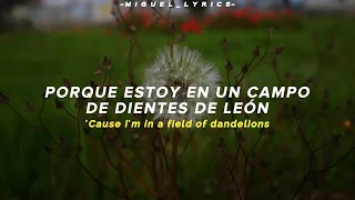 Ruth B. - Dandelions | Sube Español & English Lyrics