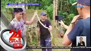 Mag-anak, nagpasaklolo sa eksperto para mahuli ang Philippine cobra sa kanilang bahay | 24 Oras