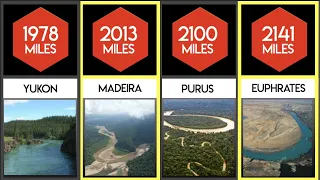 Comparison Longest River In The World