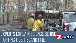 Experts explain science behind fighting massive Tiger Island Fire