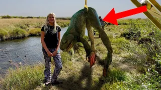 The Most Mysterious Mythical Creatures Ever Found In The Wild