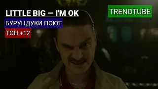 Бурундуки поют LITTLE BIG – I'M OK (ТОН +12)