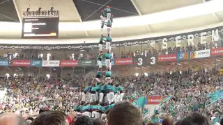 Human Tower Fall