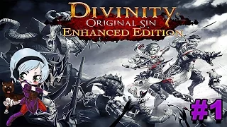 Divinity: Original Sin Enhanced Edition Let's Play - Episode 1 [Co-op Gameplay]
