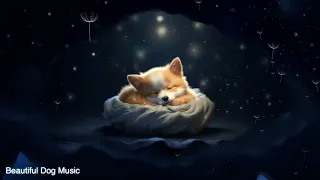 dog music to calm them down, Relaxing Music, Peaceful Music