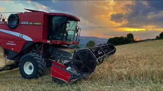 Mietitrebbia Laverda 255 AL 4 WD. Trebbiatura raccolta grano duro 2022