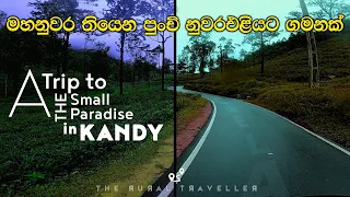 මහනුවර තියෙන පුංචි ‌නුවරඑළියට ගමනක් | A Trip to The Small Paradise in Kandy | #srilanka