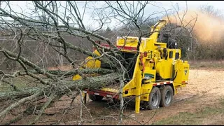 Amazing Fastest Wood Chipper Machines Working - Extreme Powerful Wood Crusher You Have Never Seen