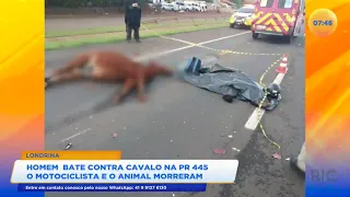 Homem bate contra cavalo na PR-445: o motociclista e o animal morreram