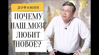 Почему мы любим все новое? Дофамин В Дубынин