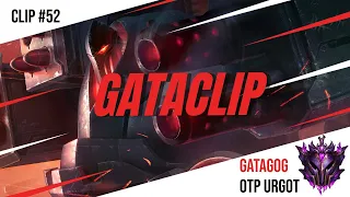 GATACLIP #52 | FRUSTRATED PIG