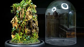 Millipede Mountain Cloche Terrarium