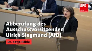 Abberufung des Ausschussvorsitzenden Ulrich Siegmund (AfD)