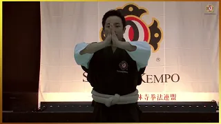 Tandoku embu Shorinji Kempo. Demonstration techniques, sensei Ishi Akihito 少林寺拳法 武道少林寺拳法