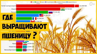 Статистика стран производителей пшеницы (1961-2018)