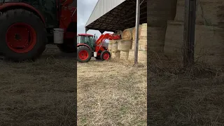 Hay Day! #shorts #youtubeshorts #short #shorts #farming #farmlife #kubota #tractor #tractorvideo