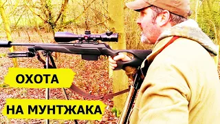 Охота на мунтжака осенью и зимой. Неповторимый вкус охоты/FARMING THE WILD (Охотник и рыболов)