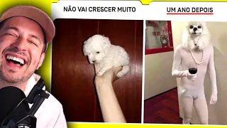 MEMES que vão te fazer rir em 3 minutos