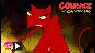 Courage The Cowardly Dog | Cajun Fox | Cartoon Network