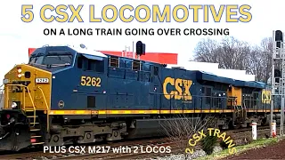 2 CSX TRAINS T315 with 5 LOCOS & CSX M217 (CLOSE-UP) with 2 LOCOS