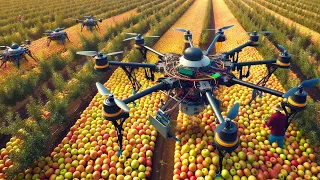 How American Farmers Use Robots And Heavy Machinery To Harvest Fruits And Vegetables