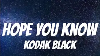 Kodak black - Hope you know (official lyrics video)