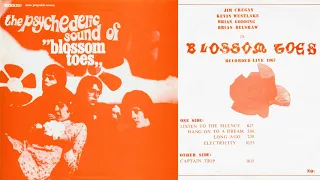 {FULL ALBUM} Blossom Toes - The Psychedelic Sound Of... (Live, 1969?)